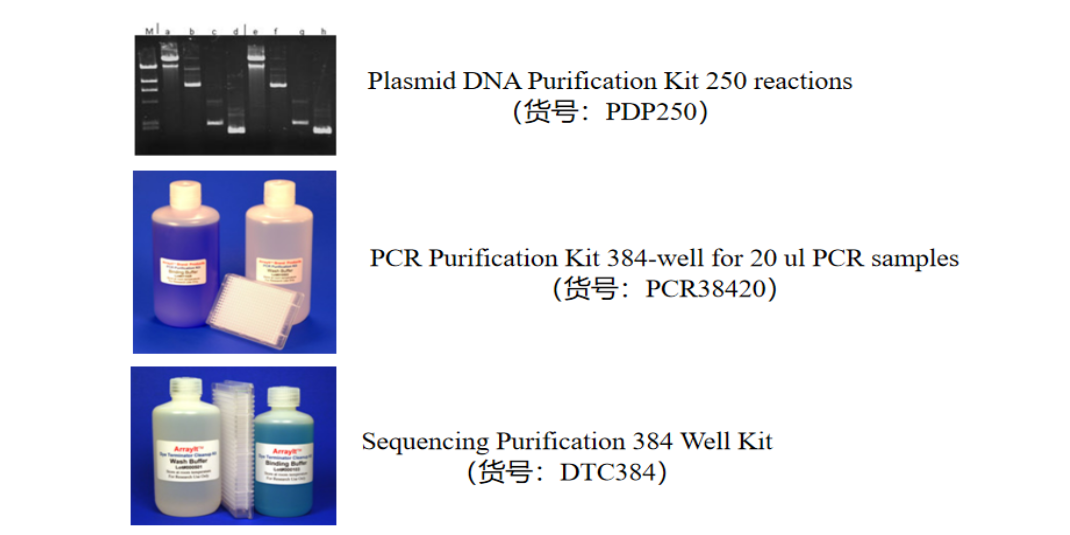 热烈祝贺北京百奥创新科技有限公司成为Arrayit Corporation (ARYC)中国区代理商