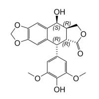 Podophyllotoxin Derivate