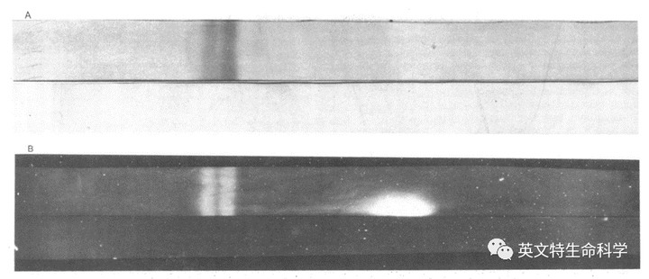 “考古”44年前第一次WB是怎样做的？