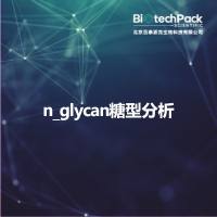 n_glycan糖型分析