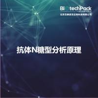 抗体N糖型分析原理