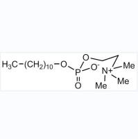 n-Undecylphosphocholine