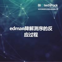 埃德曼降解测序的反应过程