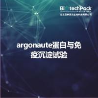 argonaute蛋白与免疫沉淀试验