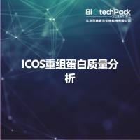ICOS重组蛋白质量分析