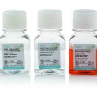 细胞消化与解离试剂