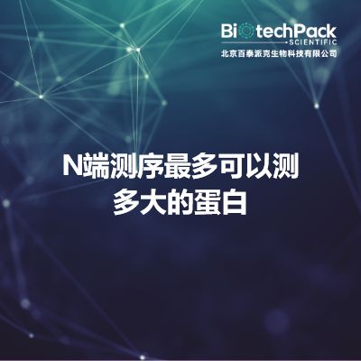 N端测序最多可以测多大的蛋白
