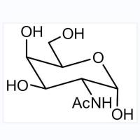 N-Acetyl-D-glucosamine