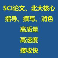 北大核心/SCI论文润色
