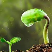 植物多胺含量检测_检测植物组织中多胺含量_植物多胺高效液相色谱