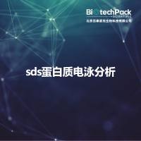 sds蛋白质电泳分析