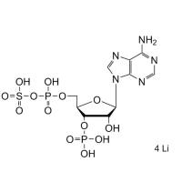 35-PAPS-Li (CAS: 102029-54-9)
