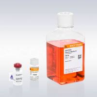 美天旎Miltenyi130-117-031AstroMACS Medium/星形胶质细胞培养基