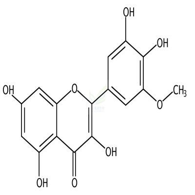 西伯利亚落叶松黄酮  CAS号：53472-37-0