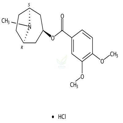 盐酸旋花胺  CAS号：5896-59-3