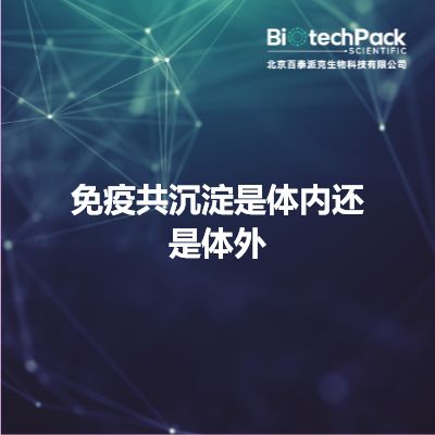 免疫共沉淀是体内还是体外