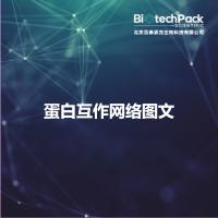 蛋白互作网络图文