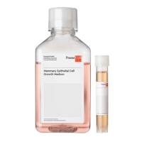德国PromoCell Mammary Epithelial Cell Growth Medium