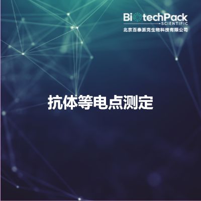 抗体等电点测定