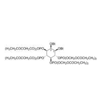 Bt2-Ins(3456)P4 / PM