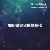 如何鉴定蛋白糖基化