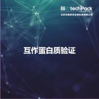 互作蛋白质验证