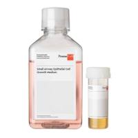 德国PromoCellSmall Airway Epithelial Cell Growth Medium