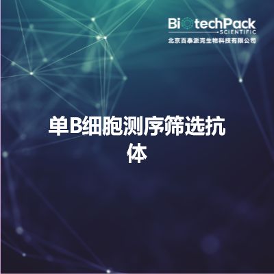 单B细胞测序筛选抗体