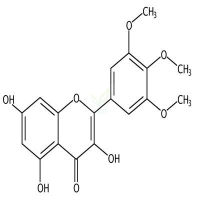3,5,7-三羟基-3´,4´,5´-三甲氧基黄酮  CAS号：146132-95-8