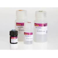 美天旎Miltenyi130-094-833Mitochondria QuadroMACS Starting Kit/线粒体QuadroMACS起始试剂盒