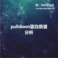 pulldown蛋白质谱分析