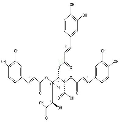 Leontopodic acid B  CAS号：933063-22-0