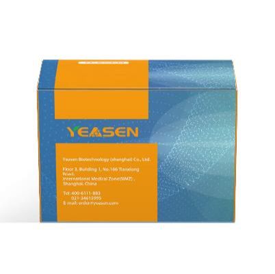 YeaCell™ 1st Strand Synthesis kit for Single Cell 3ʹRNA-seq