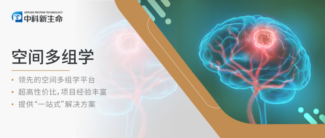 Cancer Cell （IF 50.3）| 空间多组学揭示胶质母细胞瘤中双向肿瘤-宿主相互依赖性