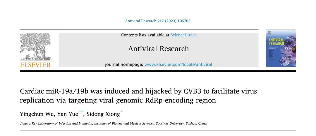 Antiviral Res丨CVB3诱导的心脏miR-19a/19b通过靶向病毒基因组RdRp编码区促进病毒复制