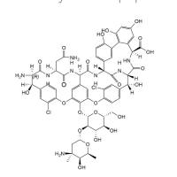 Vancomycin hexapeptide