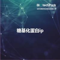 糖基化蛋白ip