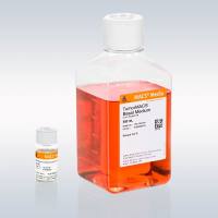 美天旎Miltenyi130-119-484 Pancreas TumorMACS™ Medium/Pancreas TumoMACS™ 培养基