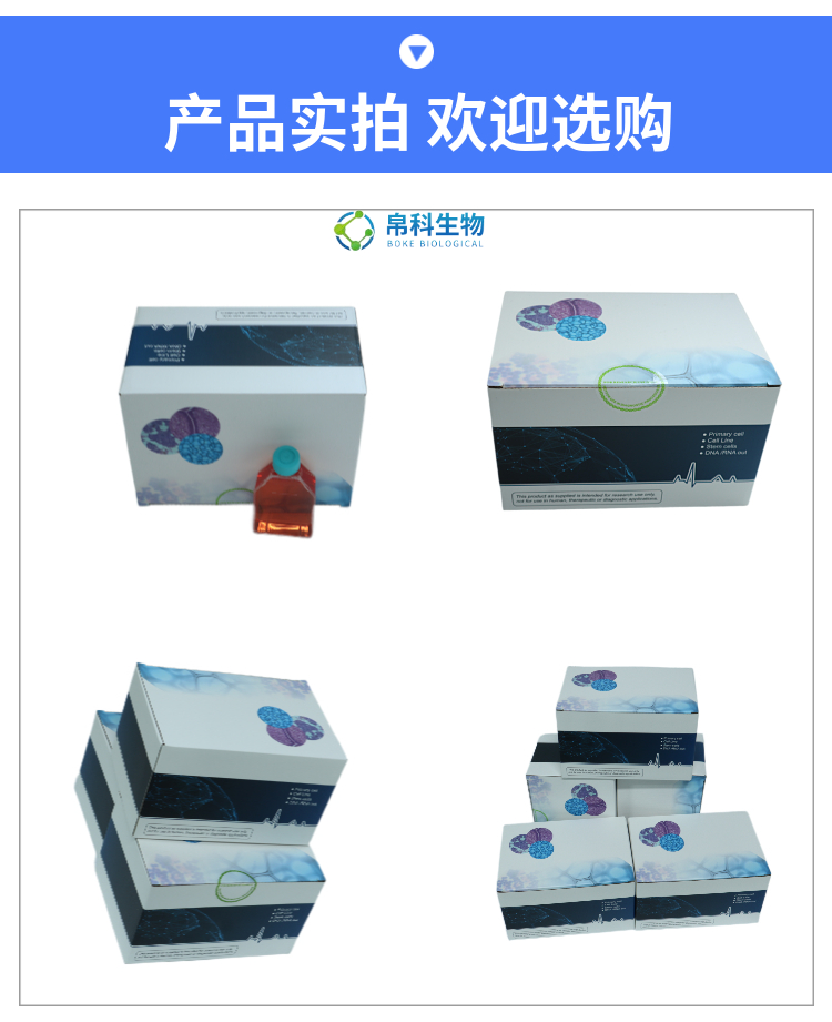 促微管蛋白聚合蛋白(TPPP)ELISA试剂盒