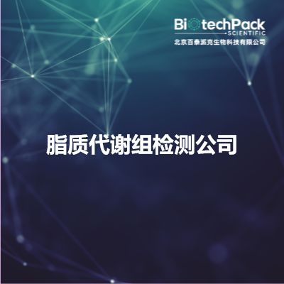 脂质代谢组检测公司