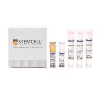 STEMCELL Technologies15086 Complete Kit for Human Whole Blood CD34+ Cells/人全血CD34+分选试剂盒