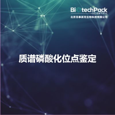 质谱磷酸化位点鉴定