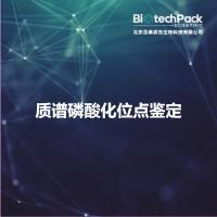 质谱磷酸化位点鉴定