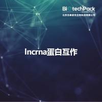 lncrna蛋白互作