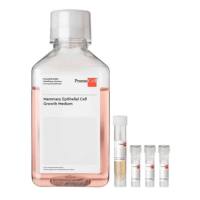 德国PromoCell Mammary Epithelial Cell Growth Medium