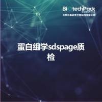 蛋白组学sdspage质检