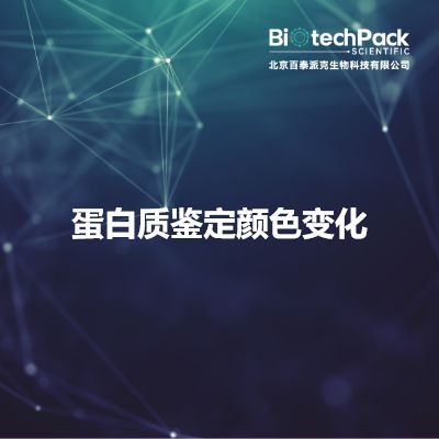 蛋白质鉴定颜色变化