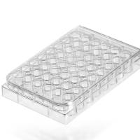 48孔细胞培养板,平底，TC处理