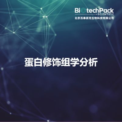 蛋白修饰组学分析