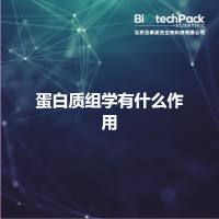 蛋白质组学有什么作用